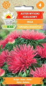 Aster igiełkowy wysoki Inga 1g