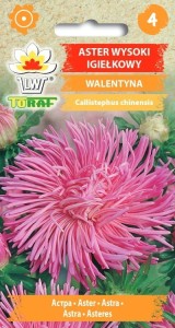 Aster igiełkowy wysoki Walentyna 1g
