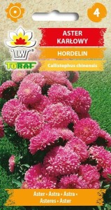 Aster karłowy Hordelin 1g
