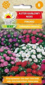 Aster karłowy Pinokio 0,3g