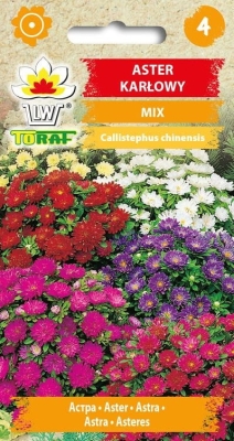 Aster karłowy mix 1g