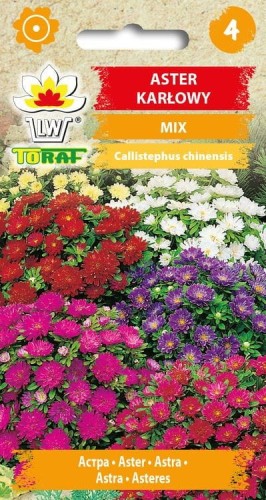 aster-karlowy-mix_f.jpg