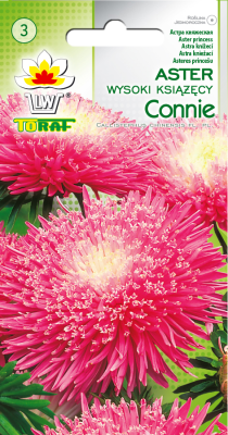 Aster książęcy wysoki Connie 1g