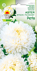 Aster peoniowy wysoki Perła 1g