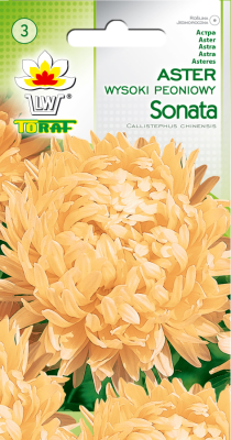 Aster peoniowy wysoki Sonata 1g