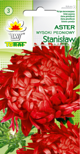 Aster peoniowy wysoki Stanisław 1g