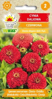 Cynia daliowa czerwona 1g