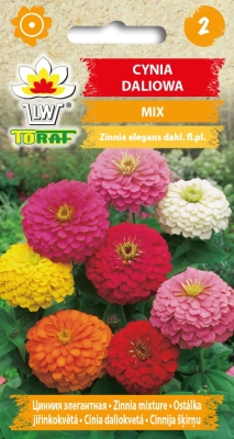 Cynia daliowa mix 1g