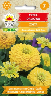Cynia daliowa Żółta 1g