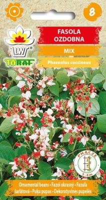 Fasola ozdobna nasiona mix 6szt