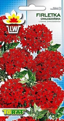 firletka-chalcedonska-czerwona_f (1).jpg