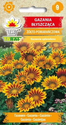 Gazania błyszcząca 0,4g