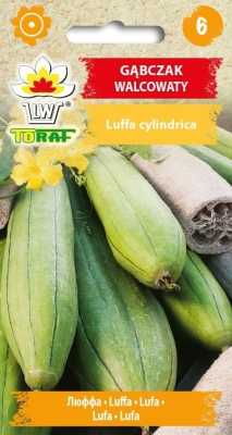 Gąbczak walcowaty - Trukwa 1g
