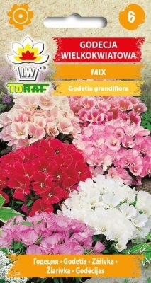 Godecja wielkokwiatowa mix nasiona 1g