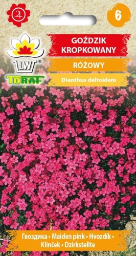 gozdzik-kropkowany-rozowy_f.jpg