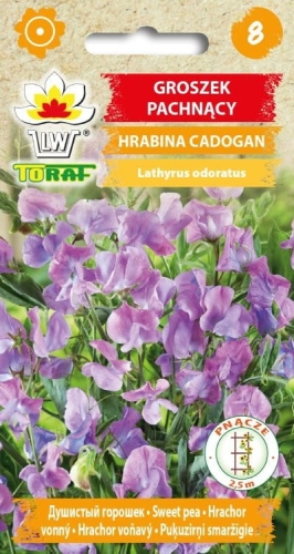 groszek-pachnacy-hrabina-cadogan_f.jpg