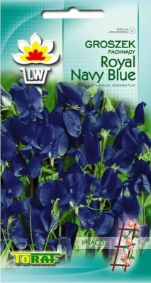 Groszek pachnący Royal Navy Blue 1g
