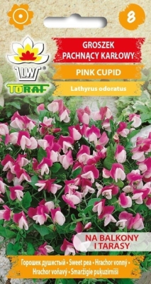 Groszek pachnący Pink Cupid 1g