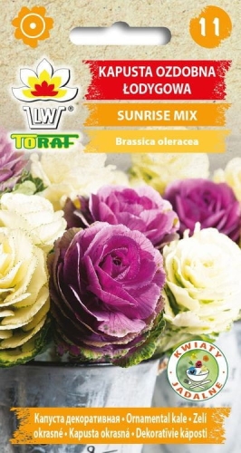 kapusta-ozdobna-lodygowa-sunrise-mix_f.jpg