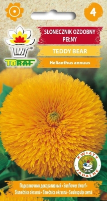 Słonecznik ozdobny Teddy Bear 2g