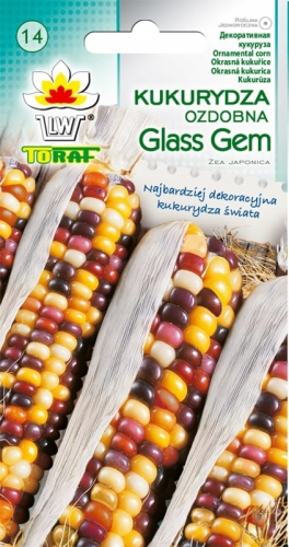 KUKURYDZA-OZDOBNA-GLASS-GEM-NASIONA-3g.jpg
