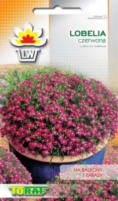 Lobelia czerwona 0,1g nasiona kwiatów