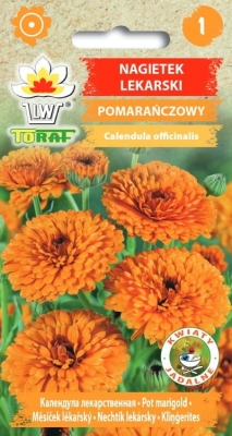 Nagietek lekarski pomarańczowy 1g