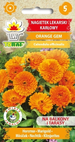 nagietek-lekarski-karlowy-orange-gem_f.jpg