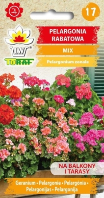 Pelargonia rabatowa mix 0,1g nasiona