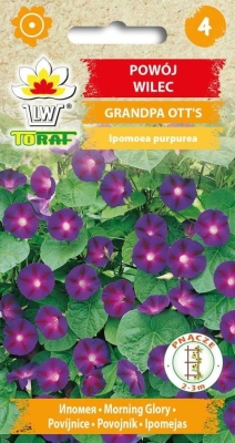 Powój wilec Grandpa Ott's 1g