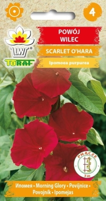 Powój wilec Scarlet O'hara 2g