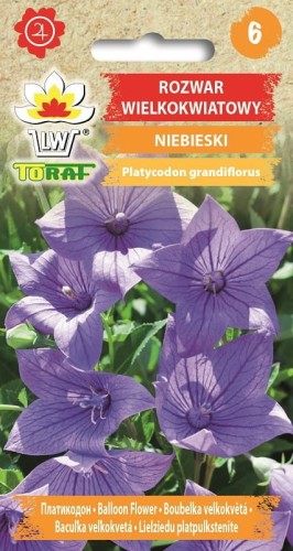 rozwar-platykodon-niebieski_f.jpg
