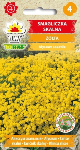 smagliczka-skalna-zolta_f.jpg