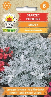 Starzec Popielaty (Mrozy) 0,2g