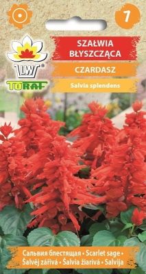 Szałwia błyszcząca Czardasz (nasiona) 0,3g