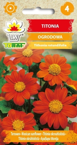 titonia-pomaranczowa.2_f.jpg