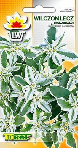 wilczomlecz-bialobrzegi-bialo-zielony_f.jpg