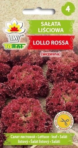 salata-lisciowa-lollo-rossa-wczesna_f.jpg