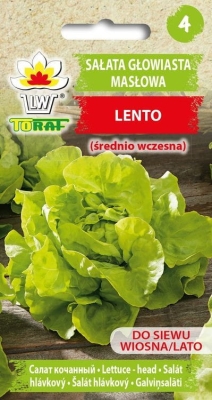 Sałata średnio wczesna Lento 1g
