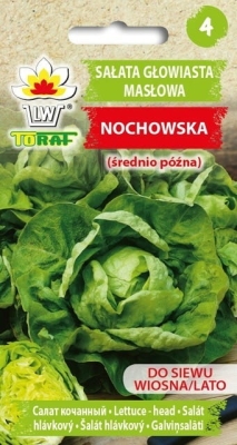 Sałata średni opóźna Nochowska 1g