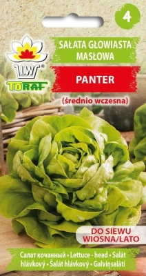 Sałata głowiasta masłowa Panter 1g