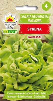 Sałata masłowa wczesna Syrena 1g