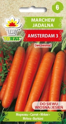 Marchew jadalna Amsterdam 3 5gr wczesna