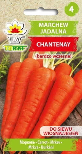 marchew-jadalna-chantenay-bardzo-wczesna_f.jpg