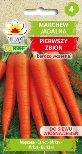 marchew-jadalna-pierwszy-zbior-bardzo-wczesna_f.jpg