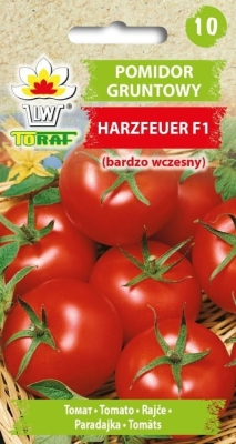 Pomidor gruntowy Harzfeuer F1 (bardzo wczesny) 0,3g