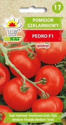 Pomidor szklarniowy późny Pedro  F1 0,2g