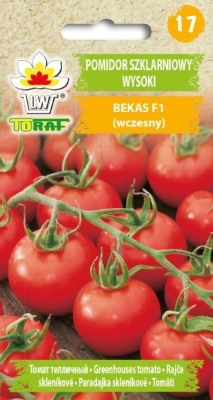 Pomidor szklarniowy wysoki Bekas F1 (wczesny)