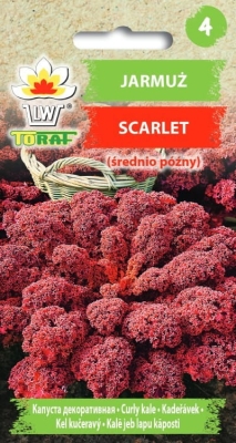 Jarmuż Scarlet czerwony 1g