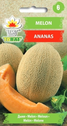 melon-ananas_f.jpg